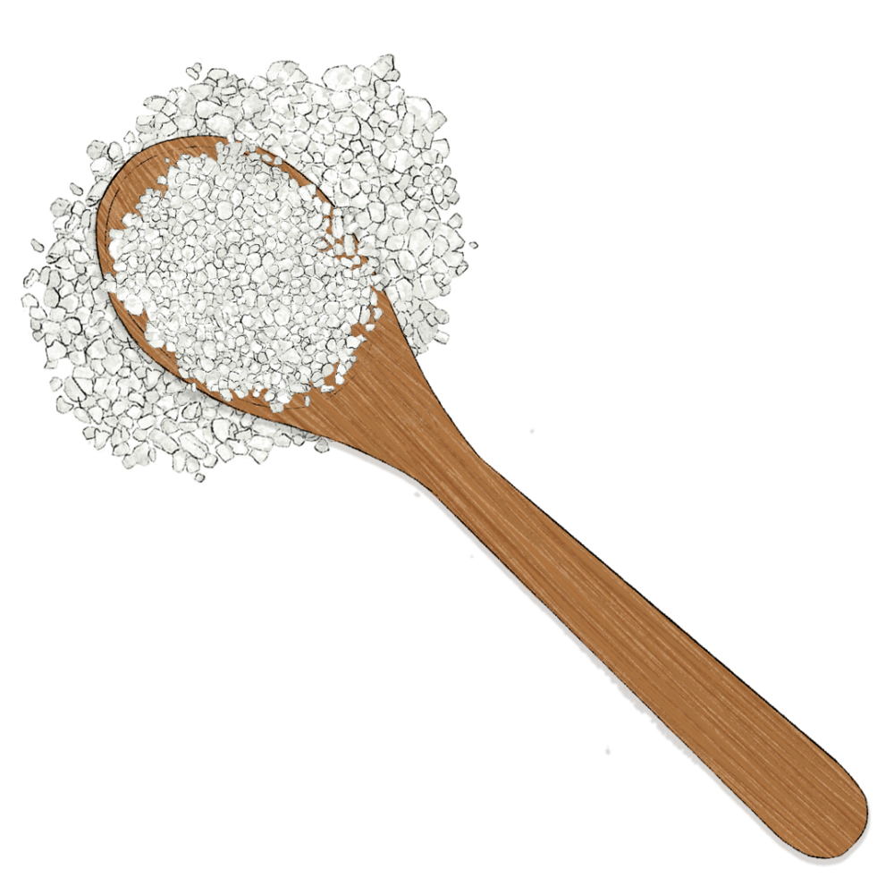 Edible Camphor Roundglass Living